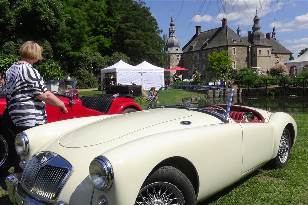 Bei der Landpartie auf Schloß Lembeck sind Pflanzen der Renner (mit Video) Auch Oldtimer sind bei der Landpartie im Schlosspark Lembeck ausgestellt.