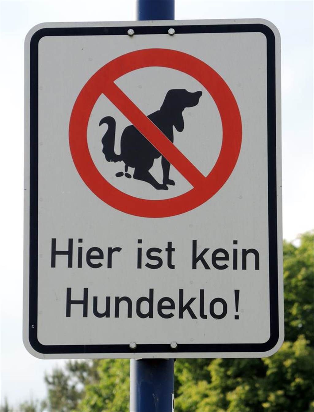 Kleine Häufchen, großer Ärger: Beschwerden über Hundekot nehmen zu Auch Schilder weisen darauf hin, Grünflächen nicht als Hundeklo zu missbrauchen.
