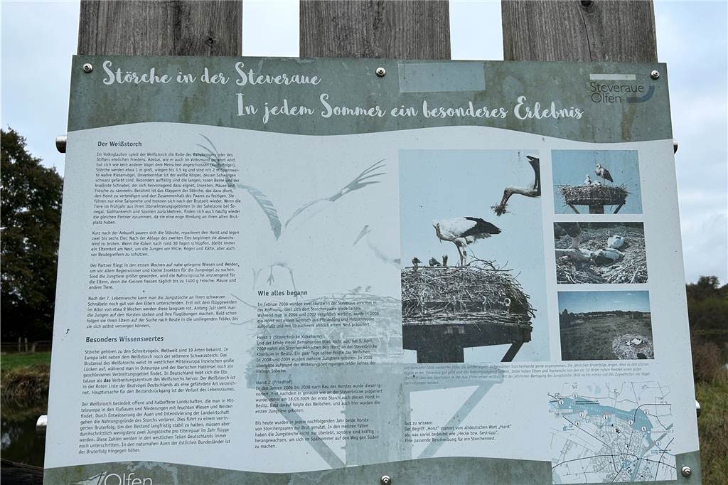 „Auge in Auge mit dem Eisvogel“: Bernhard Wiefel macht beeindruckende Naturfotos in Olfen Ein Hinweisschild zu Störchen in der Steveraue