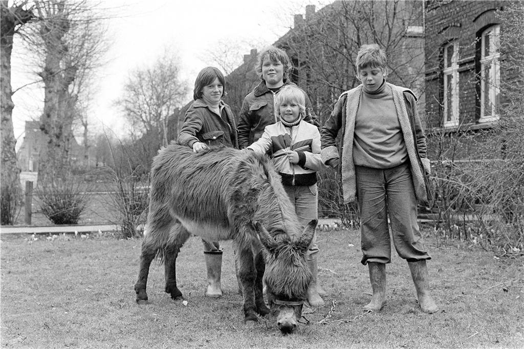 Auch Tiere, wie Esel, wurden von Familien gehalten.