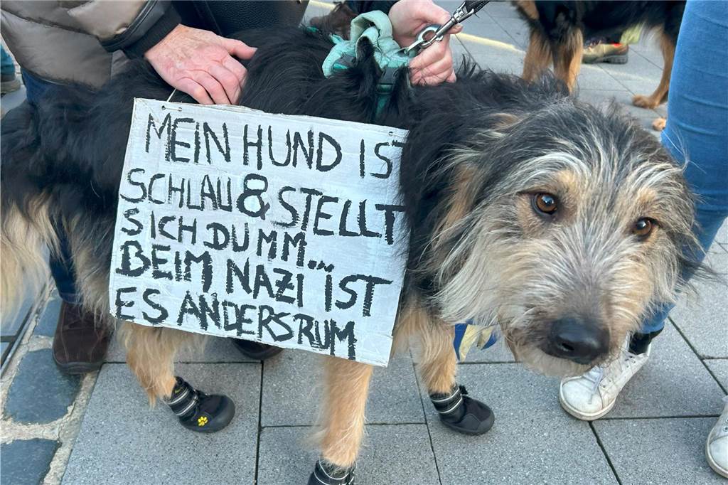 2500 Menschen demonstrieren gegen Rechts in Lünen: „Ein gigantisches Bild“ Auch tierische Unterstützer waren bei der Demo dabei.