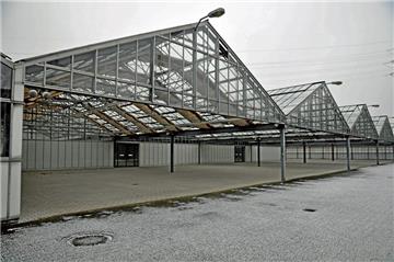 Auch überdachte Freifläche gehört zum riesigen Gelände des ehemaligen Gartencenters Dehner. Für Mirsad Freiberg ein ideales Gelände, um einen Wochenmarkt abzuhalten.