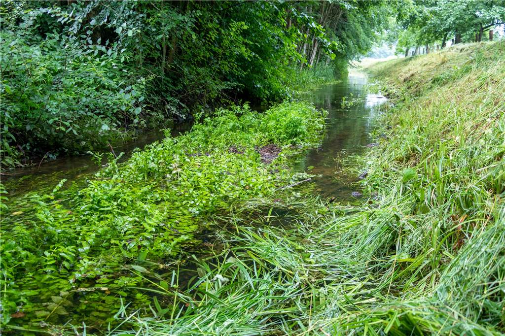Vredener Politiker sauer auf SGW: „Es wird gepumpt auf Deibel komm raus“ Auch wenn der Ölbach wieder Wasser führt, sind die Folgen der Trockenzeiten am Bewuchs zu erkennen.