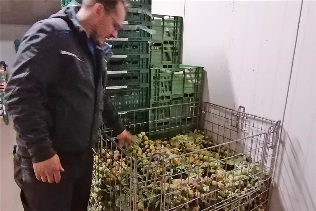 Gemüse aus dem heimischen Boden – Michels Hofverkauf startet im April Sascha Michels neben einem Lagerkorb mit Rosenkohl.