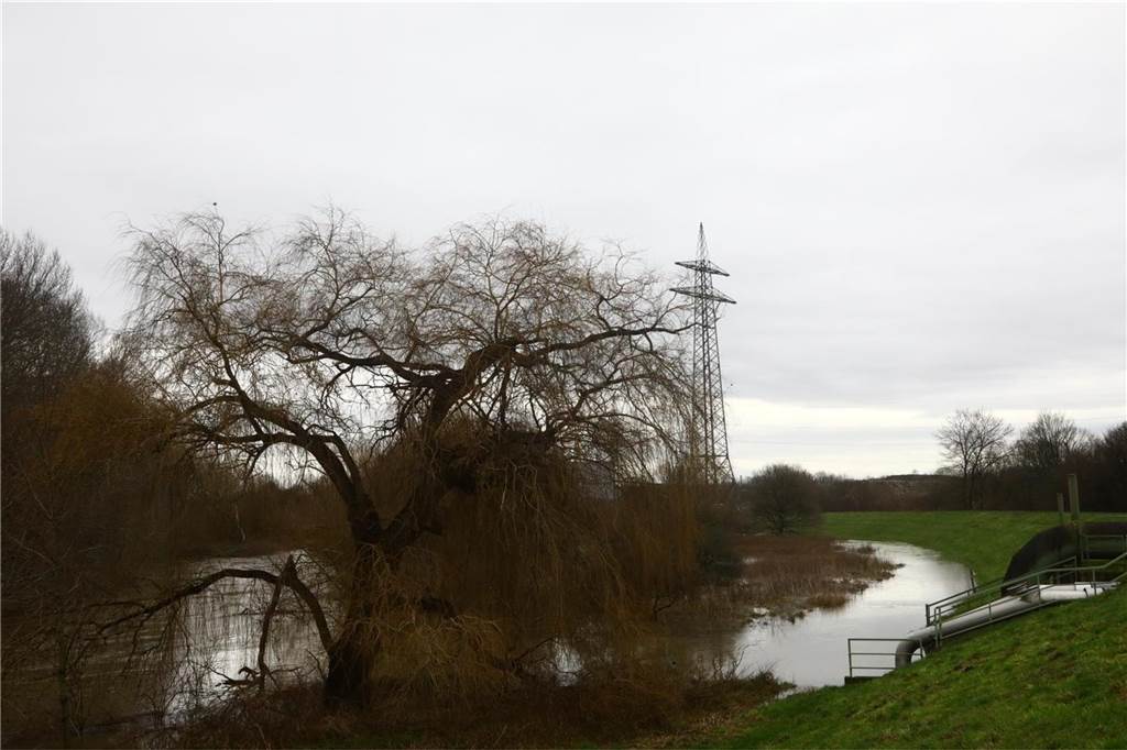 Auch zwischen Schloss Buddenburg und dem Steag-Kraftwerk: Wasser über Wasser.