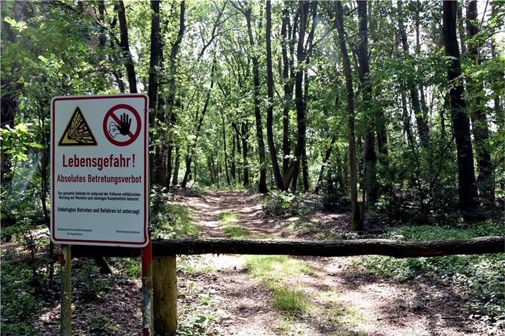 Zweijähriger Wolf ist in Reken sesshaft – Ortslandwirt noch gelassen Auf dem alten Truppenübungsplatz ist ein Wolf unterwegs. Das ist jetzt auch nachgewiesen.