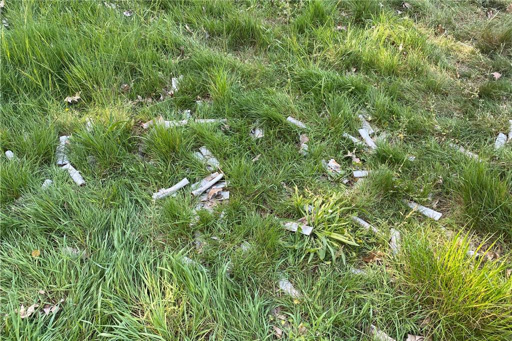 Kinder zünden mit Böllern ein begrüntes Dach in Barkenberg an Auf dem Dach lagen noch die Böllerreste.