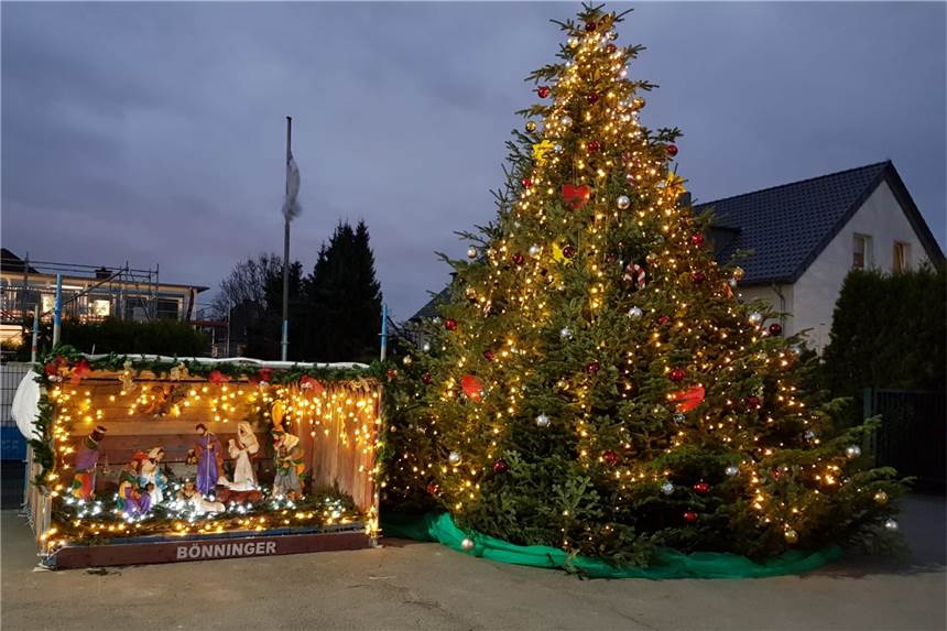 In Neuasseln steht eine Krippe aus Gerüstteilen Auf dem Firmengelände der Firma Bönninger am Graffweg 42a in Neuasseln steht ein Weihnachtsbaum mit Krippe