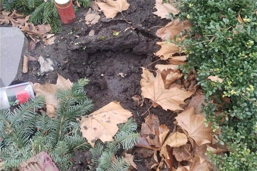 Diebstahl von Gräbern: „Selbst Verstorbene finden keine Ruhe mehr“ Auf dem Friedhof wurden einfach die Gräber abgeräumt.