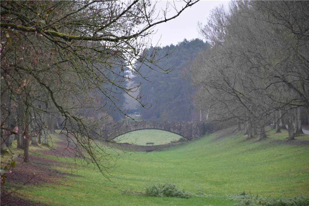Hobby-Historiker: Alte Bachläufe in Brackel tragen Mitschuld an Hochwasser Auf dem Hauptfriedhof fließen zwei Bäche zu einem zusammen. Derzeit nur ein Rinnsal, entsteht bei Starkregen ein breiter Fluss, der nur durch die Kanalisation ablaufen kann.