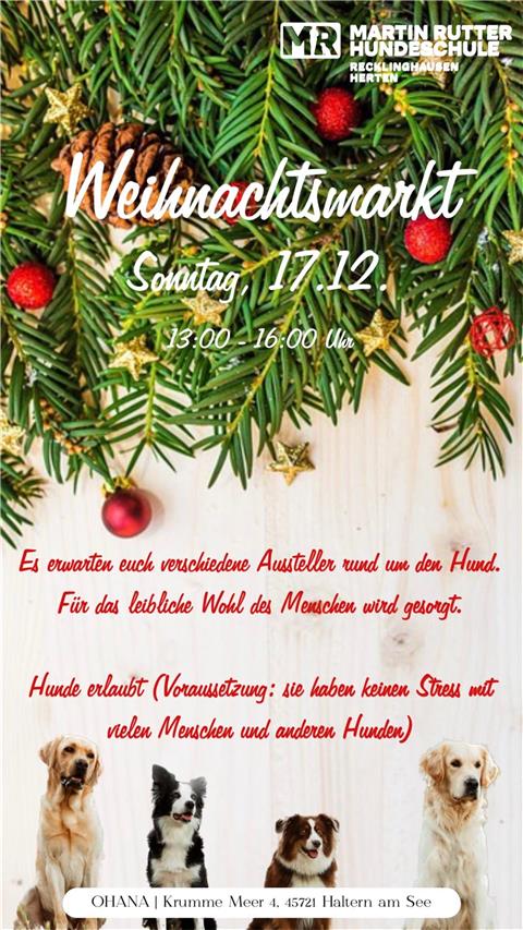 Hundeschule lädt zum ersten Weihnachtsmarkt für Hunde ein Flyer des Hunde-Weihnachtsmarktes in Haltern.