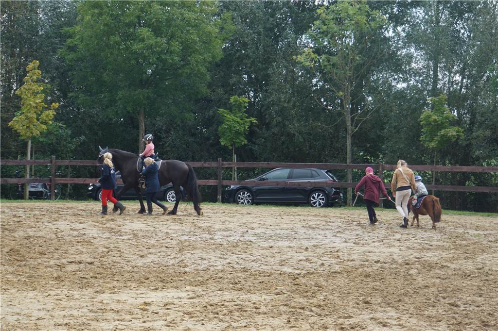 Pferde und Ponys konnten geritten werden. 