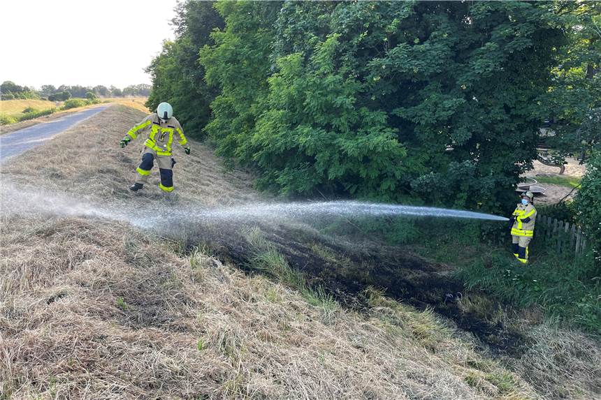 Flächenbrand auf dem Lippedamm, Einsatz an der A 31 Am Lippedamm war ein Flächenbrand ausgebrochen.