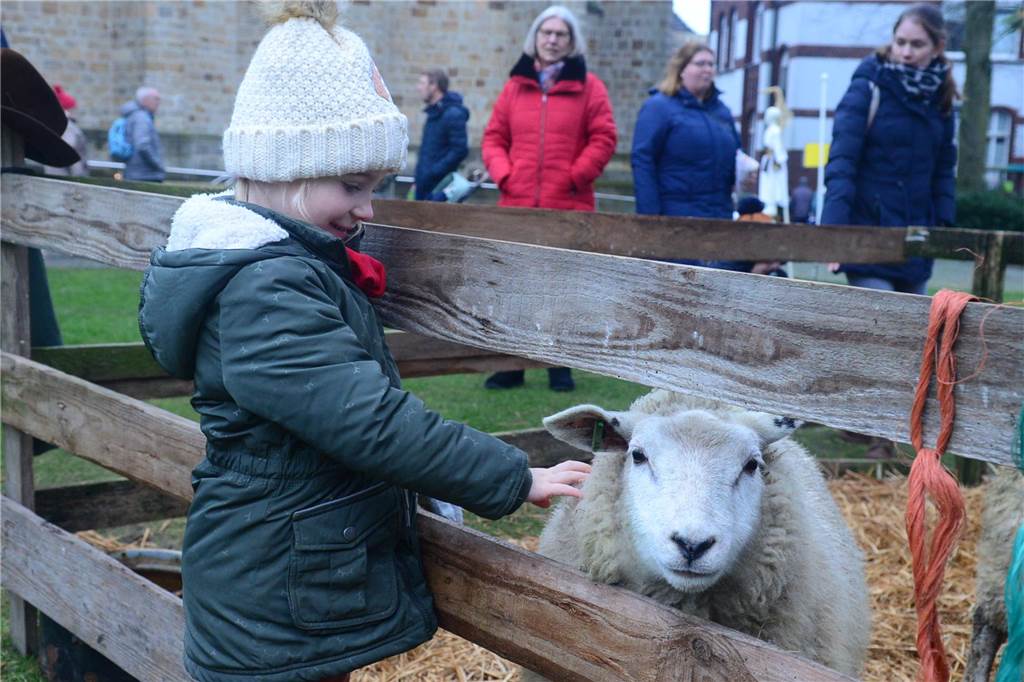 Viele Fotos vom Weihnachtsmarkt: Schafe, Heilige Drei Könige und viele Besucher