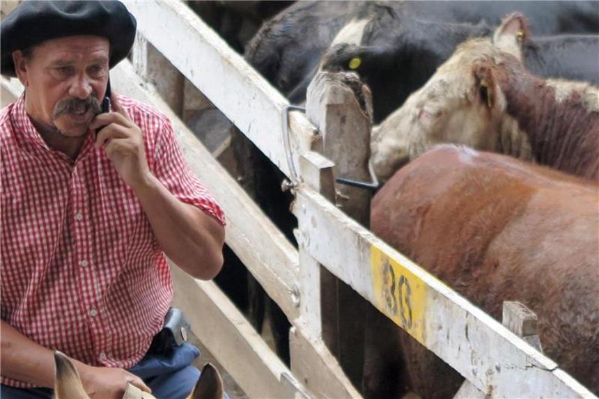 IWF gewährt Argentinien Kredithilfe von 50 Milliarden Dollar Auf dem Rinder-Markt in Buenos Aires: Argentinien ist wie andere Schwellenländer vom Verfall seiner Landeswährung betroffen. Foto: Juan Graff