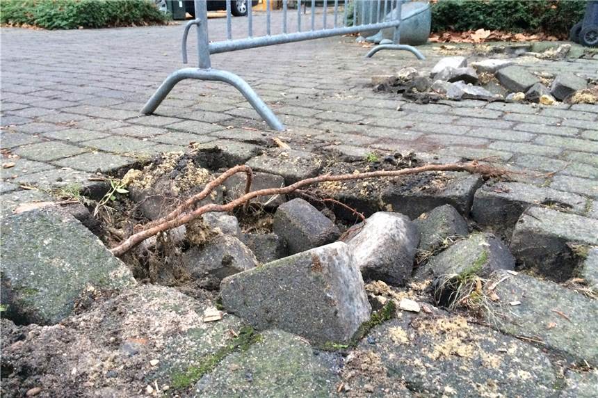 Poller sollen gegen parkende Autos auf dem Roggenmarkt helfen Auf dem Roggenmarkt klaffen zurzeit drei Löcher im Boden. Dort sollen neue Poller installiert werden, denn immer mehr Fahrzeuge haben verbotenerweise dort geparkt.