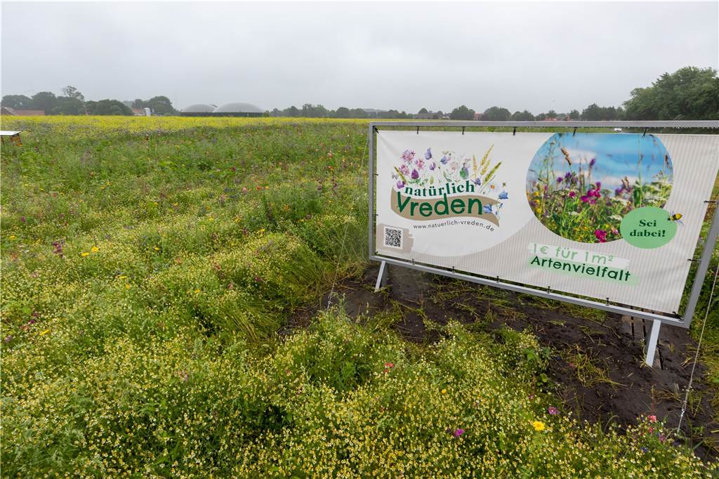 Vredener Landwirte haben 1,5 Hektar an Blühpaten verpachtet Auf dem Schild informiert Familie Herick über das Projekt "Natürlich Vreden".
