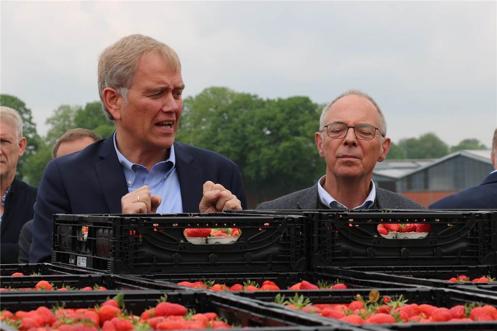 Niedrigste Erdbeerernte seit 1998: Das Kirchhellener Saison-Resümee Auf dem Schmücker Hof fand in diesem Jahr die offizielle Erdbeer-Saisoneröffnung statt. Eberhard Schmücker hat sich dabei einen besseren Ertrag gewünscht, optimistisch bleibt er dennoch.
