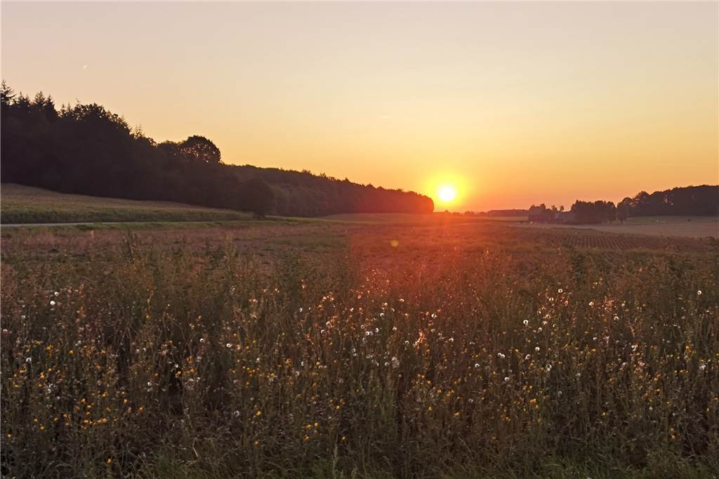 Das sind die Kirchhellener Planungen für die Kevelaer-Wallfahrt 2022 Sonnenaufgang über den Feldern