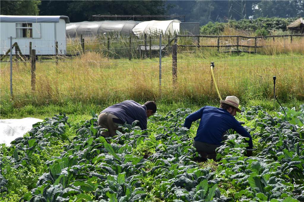 Eindrücke vom Gelände der solidarischen Landwirtschaft in Waltrop.