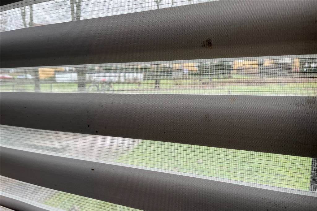 Velero-Probleme: Hohe Wasserkosten, kaputte Heizung, Mieterhöhungen Auf den Rollos im Kinderzimmer von Melanie Hoffmann haben sich Schimmelflecken gebildet.