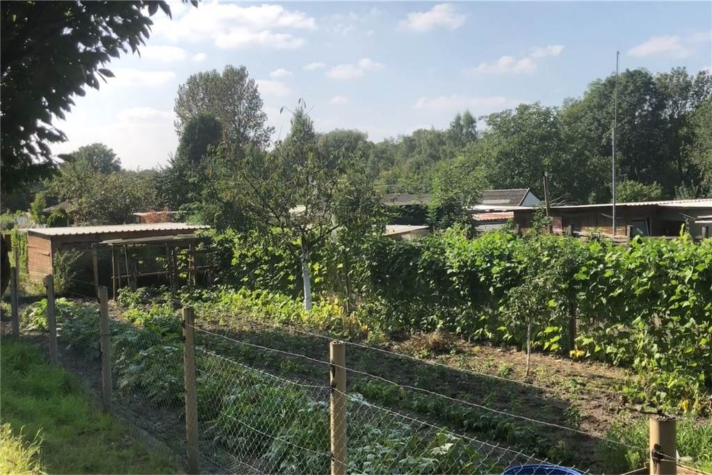 Post von der Stadt für 50 Grundstücksbesitzer: Ihre Bebauung ist illegal Auf den vielen Parzellen an der Victorstraße stehen viele kleine Häuschen und Lauben.