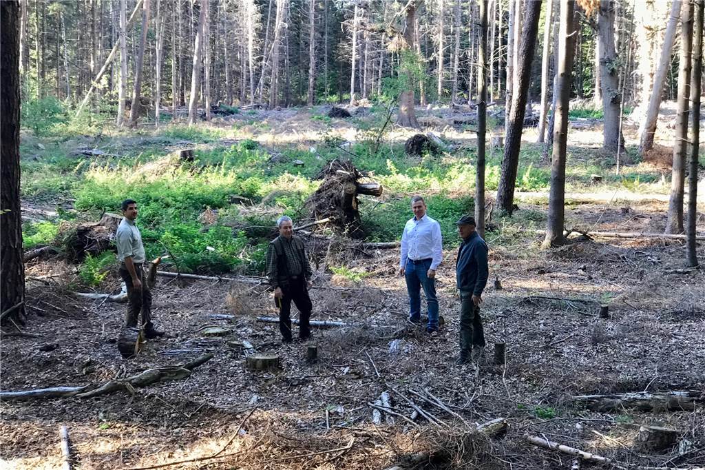 Im Barloer Busch gibt es auch für Kinder viel zu entdecken Auf den wenigen Lichtungen im Barloer Busch, teilweise durch Sturmschäden gezeichnet, lässt sich Wild gut beobachten. Auszubildener Karim Abassi, Hegeringsleiter Hermann Wolff, der Obmann für Junge Jäger, Martin Lücke, und Geschäftsführer Franz-Josef Gövert (v.l.) wollen die Menschen mehr für den Stadtwald interessieren.