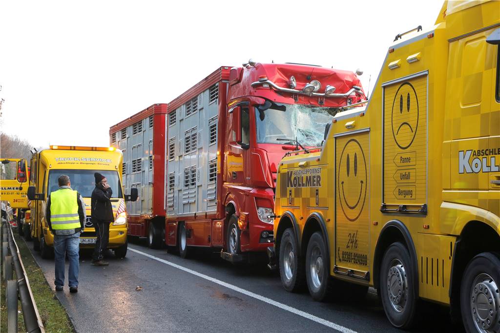 Unfall mit 100 Schweinen auf der Autobahn: Feuerwehrmann verletzt sich bei der Rettungsaktion Auf der A2 ereignet sich am Montagmorgen in Fahrtrichtung Oberhausen ein schwerer Unfall. Die Feuerwehr Kamen eilt zum Rettungseinsatz.
