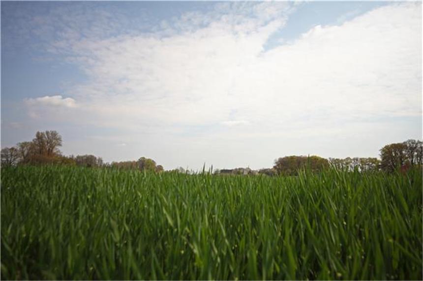 Pläne für Windkraft Auf der grünen Wiese in Hengeler-Wendfeld könnten sich in den nächsten Jahren Windräder drehen und Energie liefern.