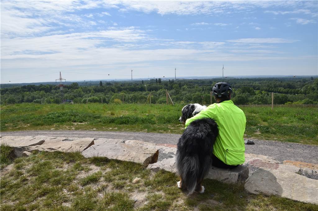 Wander-Experte empfiehlt Fünf-Halden-Tour gegen den Corona-Blues Auf der Halde Groppenbruch: Cooper hat sich mit einem Radfahrer angefreundet.