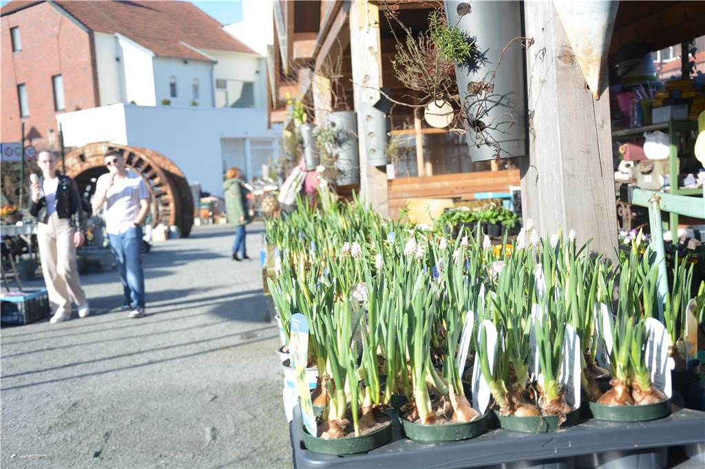 Auf der Jagd nach Schnäppchen führte es viele Besucher zum Langschläferflohmarkt der Gärtnerei Tausendschön. 