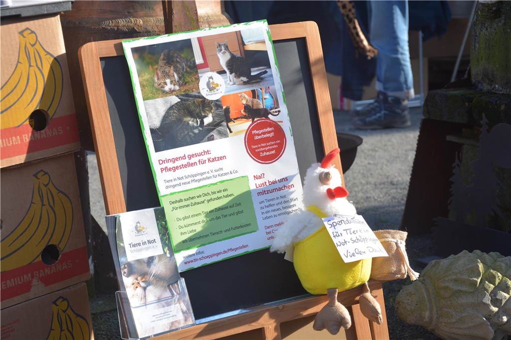 Auf der Jagd nach Schnäppchen führte es viele Besucher zum Langschläferflohmarkt der Gärtnerei Tausendschön. 