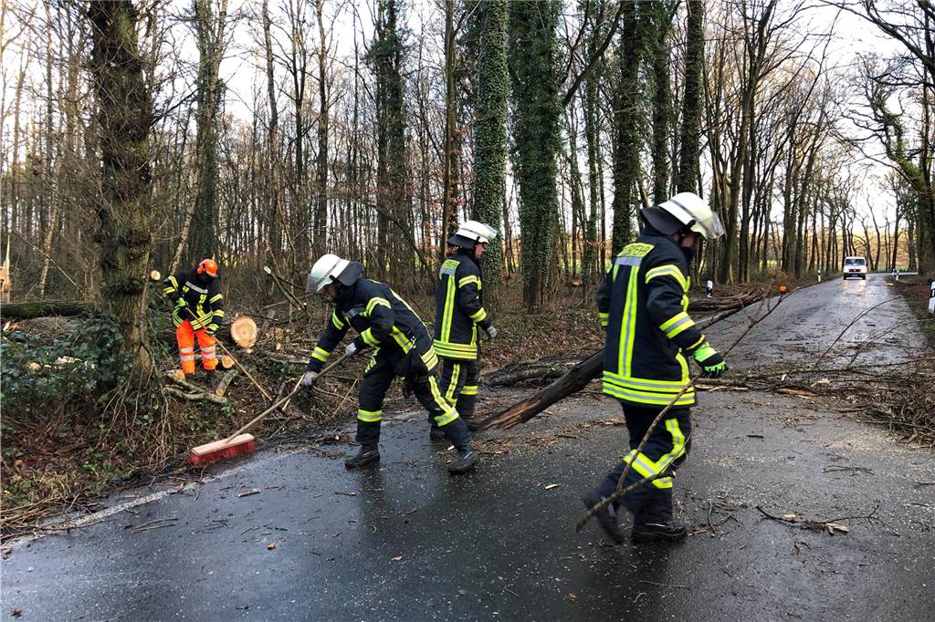 So bereitet sich die Feuerwehr auf Unwetter vor Auf der Nordkirchener Straße kam es im Jahr 2022 auch zu umgestürzten Bäumen. Die Feuerwehr kümmerte sich um die Sturmschäden.
