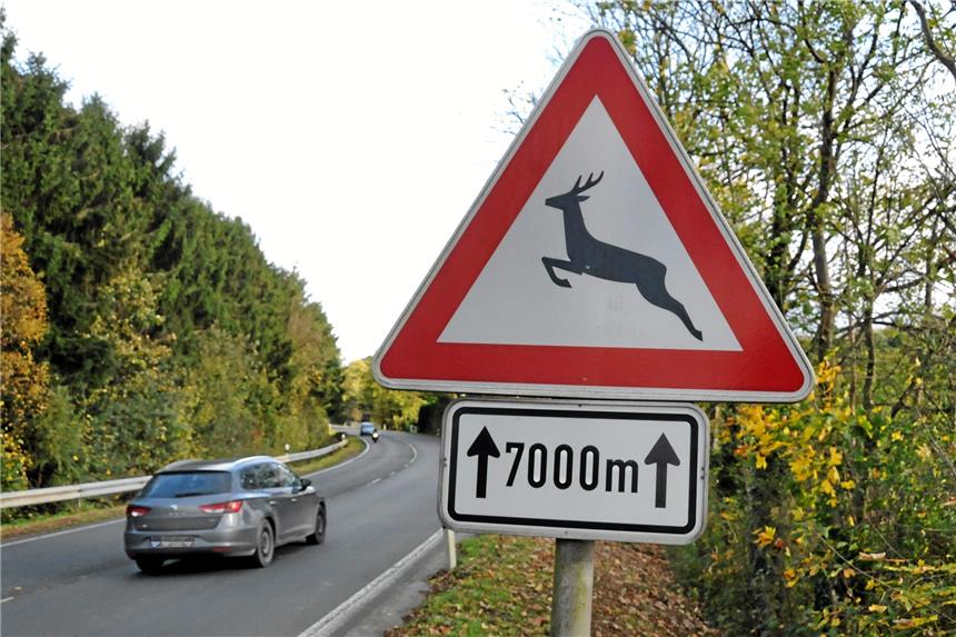 Wildunfälle: Hier sollten Schwerter vorsichtig fahren Auf der Roten-Haus-Straße in Richtung Iserlohn kommt es, so Hegeringleiter Dietrich Junge, häufiger zu Wildwechseln.