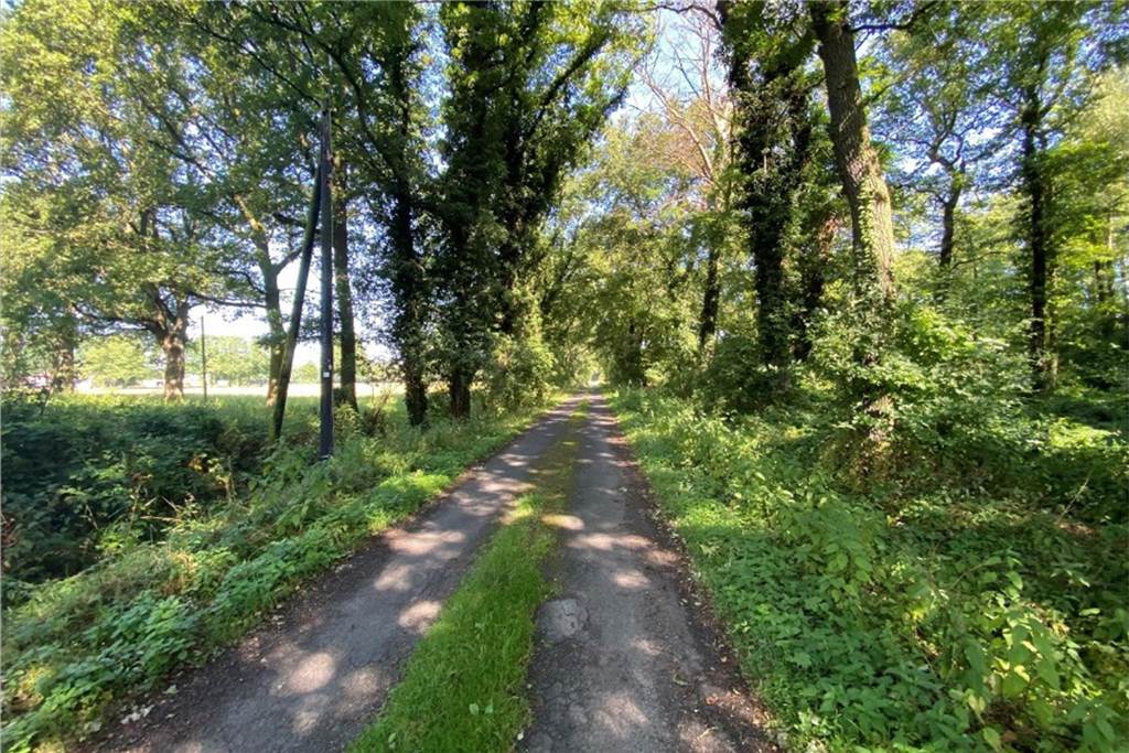 Alleenradweg für ein stärkeres Radwegenetz: Kommt Kirchhellen voran? Auf der von den Fahrradfreunden vorgeschlagenen Route für den Alleenradweg gibt es deutlich weniger Konfliktpunkte. Am Schnepfenweg würde der Alleenradweg seinem Namen alle Ehre machen.