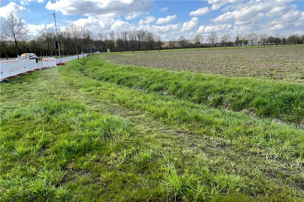 Riesige Pfützen auf Radweg an L810: „Das muss man sich schon trauen“ Auf der Wiese neben dem Radweg hat sich bereits ein Trampelpfad gebildet.