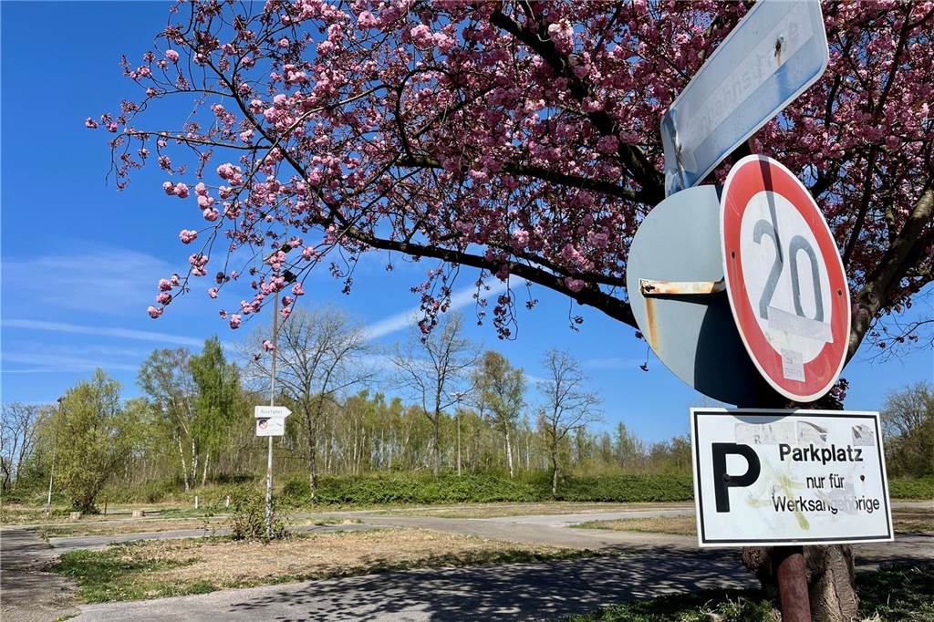 Wohnquartier: „Kostenproblem“ auf Neuer Zeche Westerholt Blick auf den ehemaligen Parkplatz für Werksangehörige auf der Neuen Zeche Westerholt.