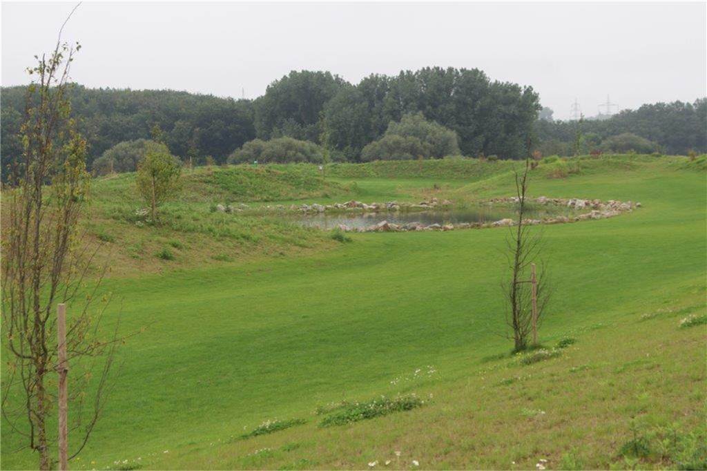 Noch ein Jahr warten: Golfplatz am Ruhr-Park soll jetzt 2024 öffnen Auf diesem schon gut gepflegten Rasen wurden in diesem Sommer schon Wild-Griller entdeckt.