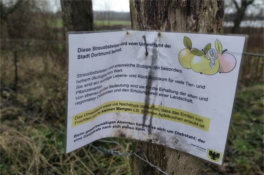 200 Schafe stimmen für eine bessere Beschilderung am Lanstroper See Auf diesen etwas labil wirkenden Schildern wird erklärt, dass man das Obst auf städtischen Streuobstwiesen nur zum Eigenbedarf pflücken darf.