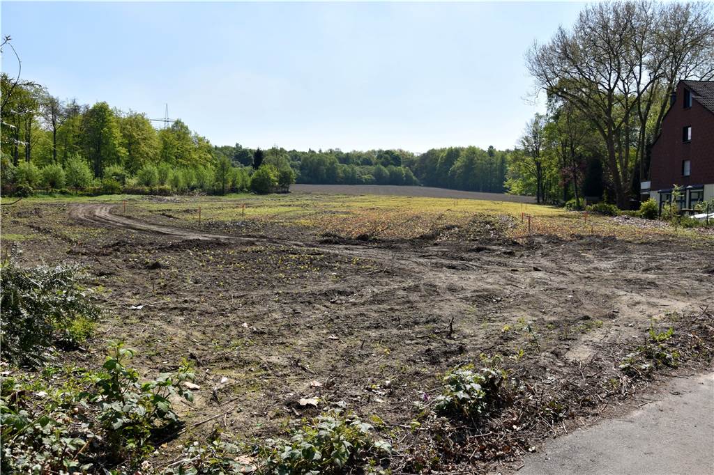 Einem vor zwei Jahren eröffneten Supermarkt im Dortmunder Süden droht die Schließung Auf dieser Fläche an der Kirchhörder Straße ist der Rewe-Markt gebaut worden.