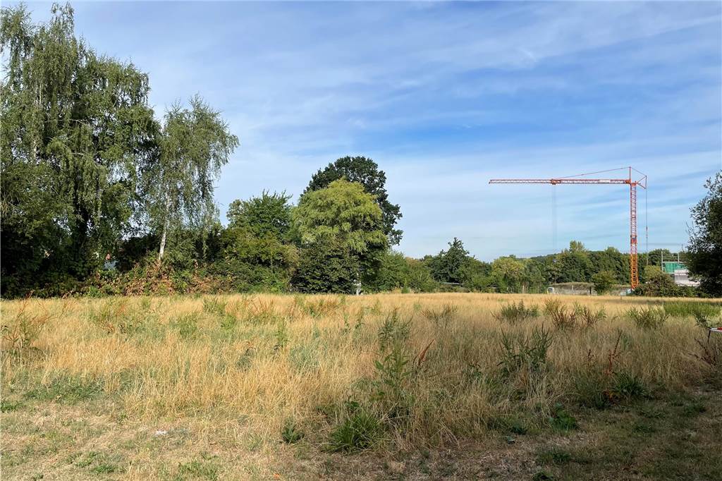 So viel Wohnraum soll in den kommenden Jahren in Werrne entstehen Auf der Fläche an der Flegelstraße wächst derzeit noch Gras.