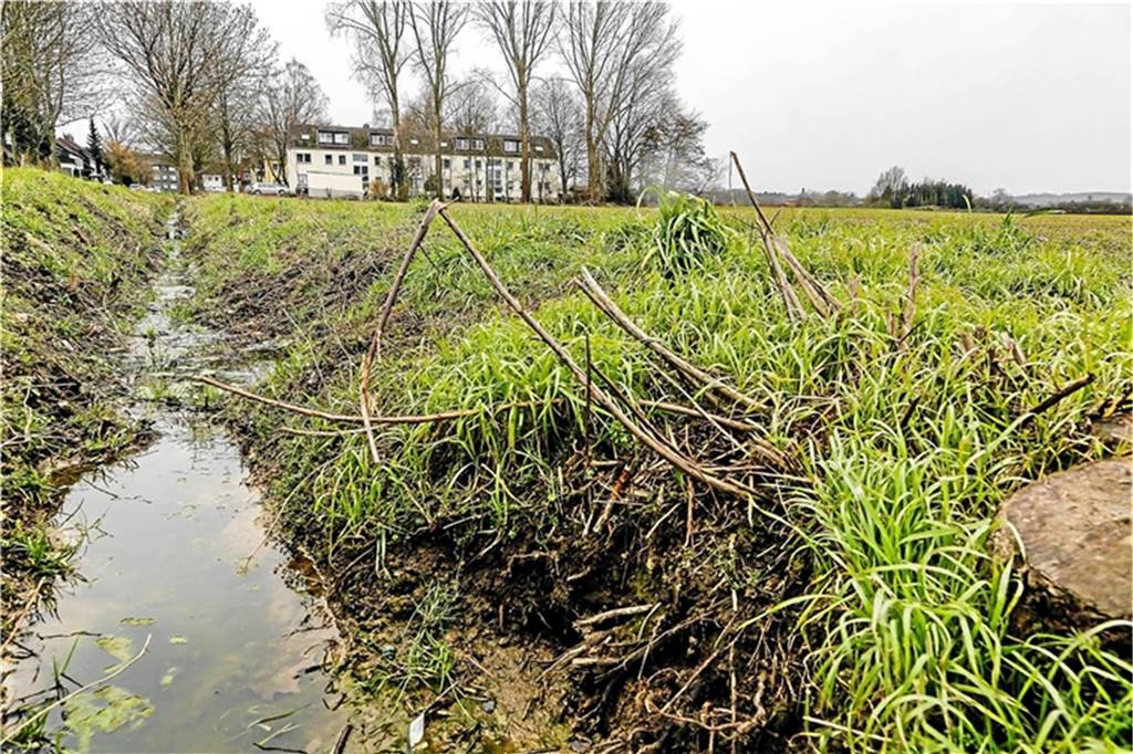 Stadtplanung für Brackel ruft erneut heftige Kritik hervor Auf dieser Fläche - im Baugebiet Wickede-West - sollen neue Wohnung entstehen. Das sieht die Bürgerinitiative Bisuf kritisch