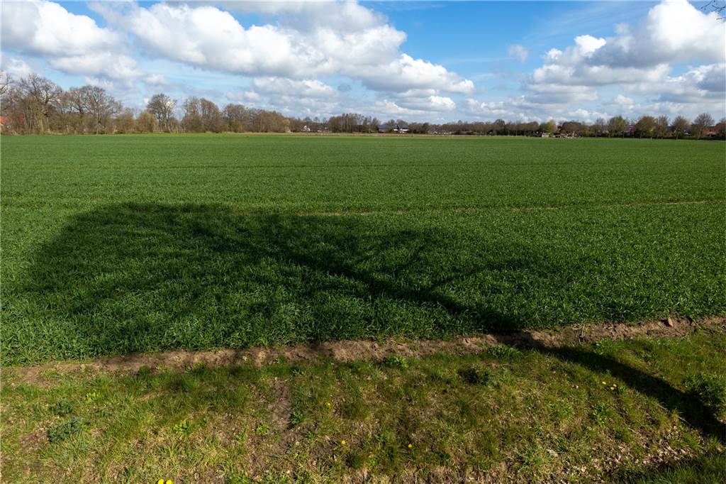 Platz für Bauwillige in Heek: Neubaugebiet mit 100 Grundstücken Auf dieser Fläche soll das riesige Baugebiet einmal entstehen.
