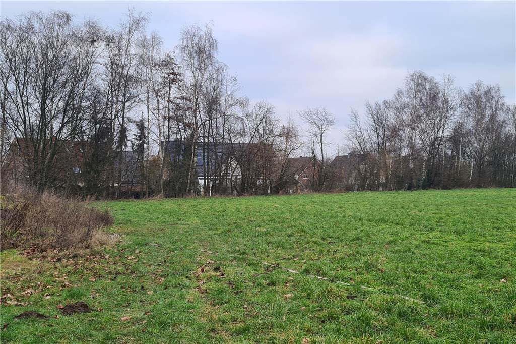 Flüchtlingen pauschal Mord und Vergewaltigung unterstellt Auf dieser Fläche soll die Flüchtlingsunterkunft entstehen. Die Anwohner (Häuser im Hintergrund) sollen damit nicht einverstanden sein. Zumindest geht das aus dem fragwürdigen Brief so hervor.