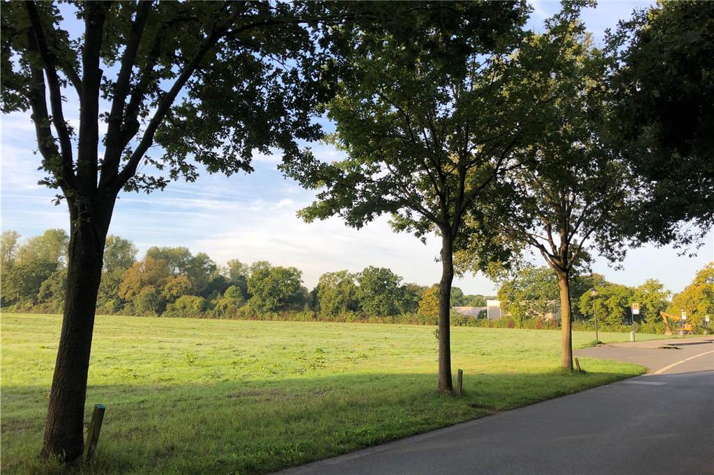 Hotelquartier: Gemeinde hat vier Millionen Euro in Projekt gesteckt Auf dieser Fläche zwischen der Straße Am Gorbach (Foto) und der Schloßstraße soll das Hotel-Quartier Nordkirchen entstehen.