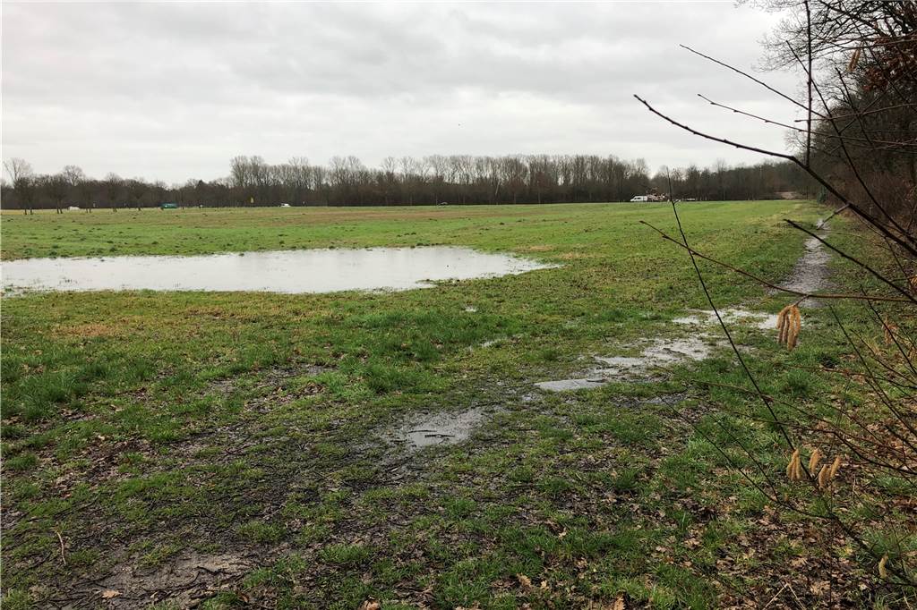Spielverderber Land NRW: Hotelneubau mit Hallenbad verzögert sich weiter Auf dieser Fläche zwischen der Straße Am Gorbach und der Schloßstraße waren ein Hotel, ein Hallenbad, ein Oberstufen-Gebäude und eine Fortbildungsakademie des Landes NRW geplant. Die ersten drei Gebäude werden verwirklicht. Die Akademie nicht.