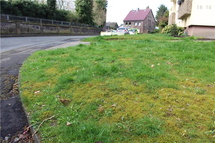 Hundehasser: Reißzwecken auf einer Wiese sollten Tiere verletzen Auf dieser Wiese an der Wasserstraße in Kirchlinde hat eine Hundehalterin Reißzwecken gefunden.
