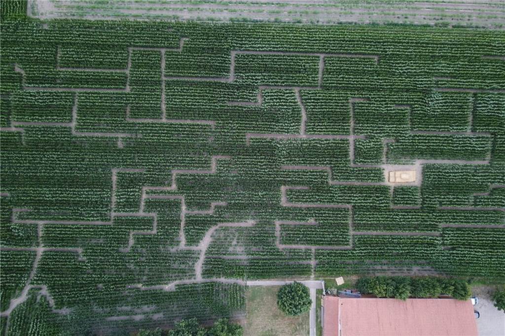 Henrichenburger Maislabyrinth: So spaßig ist es, durchs Feld zu irren Auf einem rund drei Hektar großen Feld hat Landwirtefamilie Sanders den Irrgarten angelegt. In rund 20 bis 30 Minuten ist der zu schaffen.