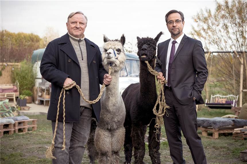 Was 2021 noch beim „Tatort“ zu sehen ist Auf einen neuen Tatort aus Münster müssen Fans noch etwas länger warten.