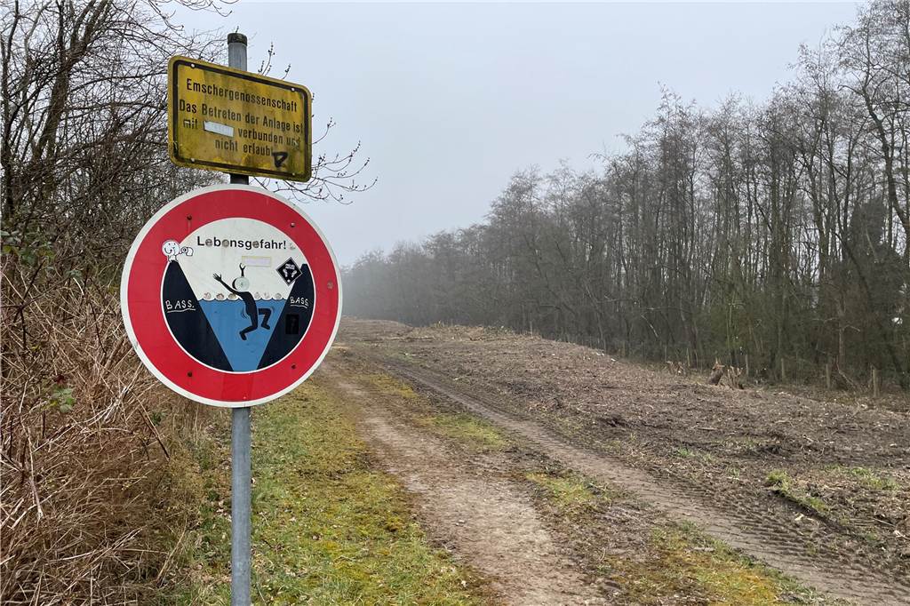 Wegen neuer Vermessungen: Emscher-Deich musste komplett gerodet werden Blick auf den von der Emschergenossenschaft gerodeten Deich in Deusen